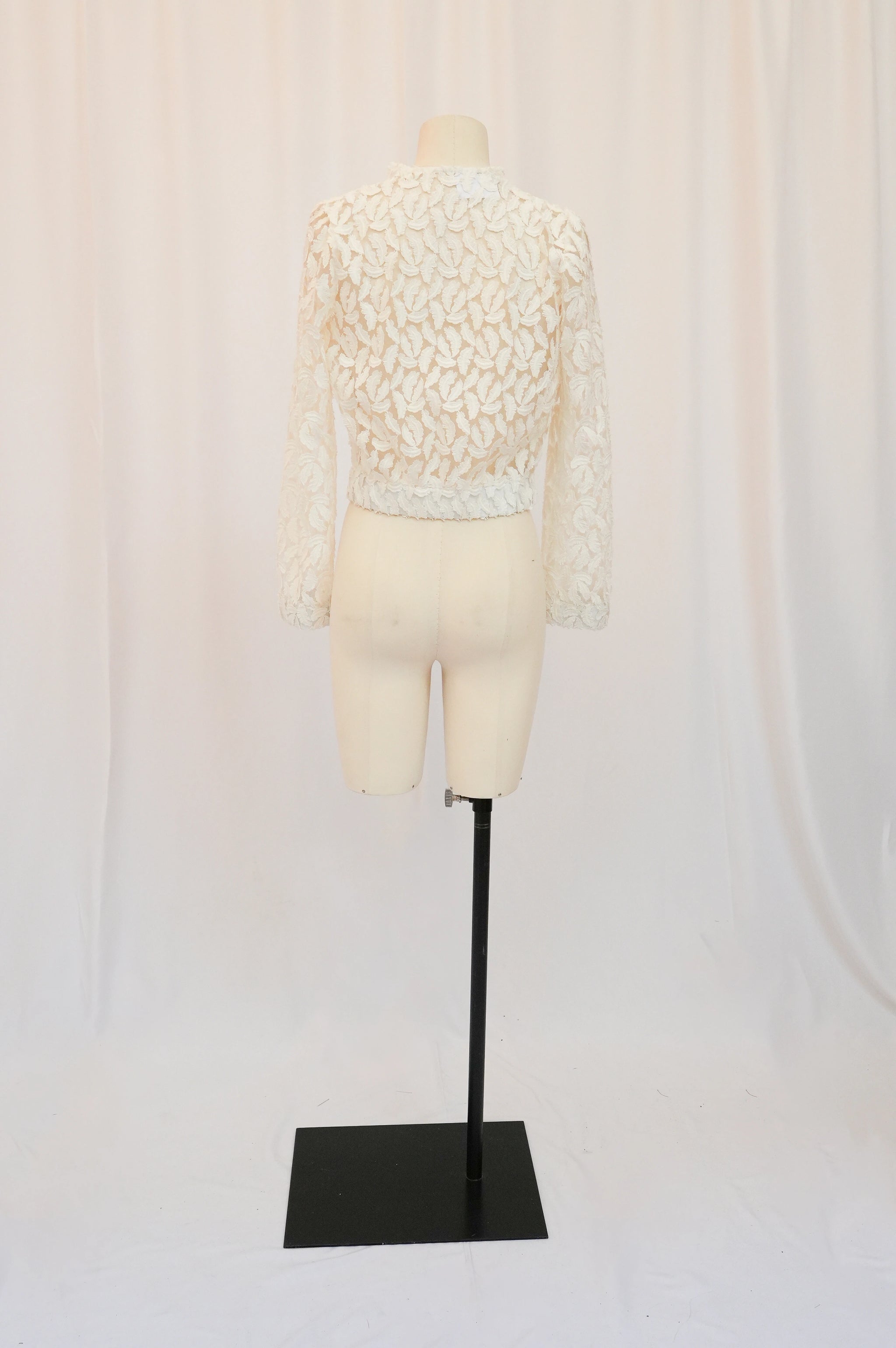 Teddy Plume T36 n°736 - Vente Prototype