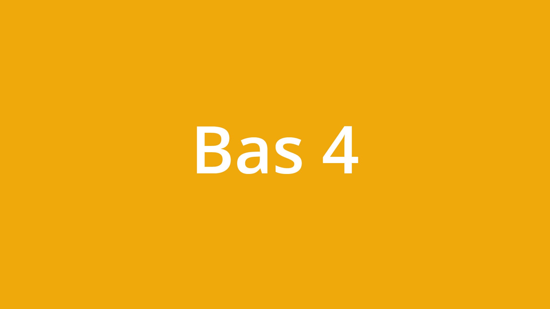 bas4-orange